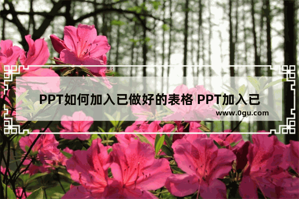 PPT如何加入已做好的表格 PPT加入已做好的表格的方法