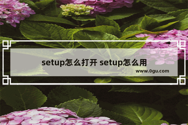 setup怎么打开 setup怎么用