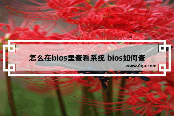 怎么在bios里查看系统 bios如何查看