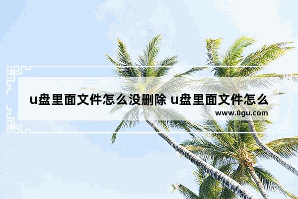 u盘里面文件怎么没删除 u盘里面文件怎么没删除选项了