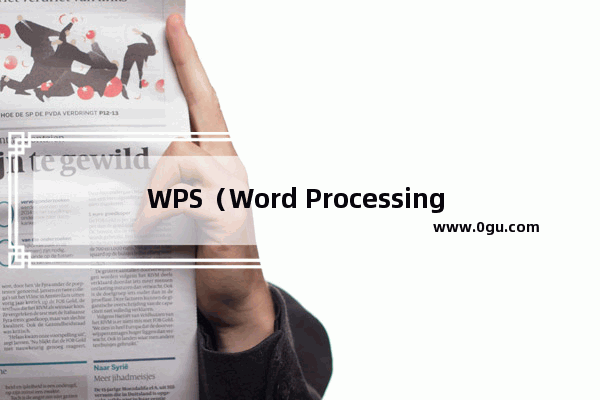 WPS（Word Processing System）是什么？