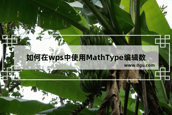 如何在wps中使用MathType编辑数学公式？wps使用MathType编辑数学公式教程