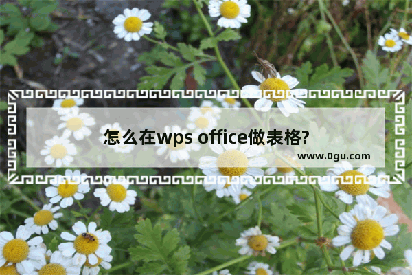 怎么在wps office做表格?