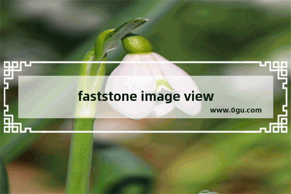 faststone image viewer怎么设置中文