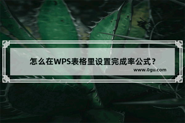 怎么在WPS表格里设置完成率公式？