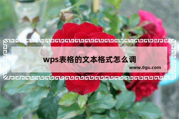 wps表格的文本格式怎么调