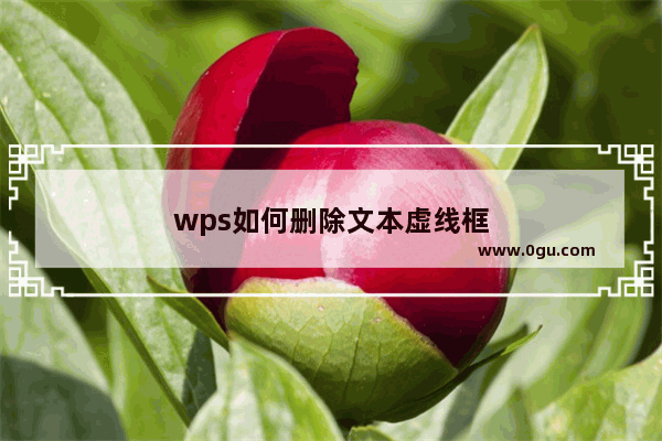 wps如何删除文本虚线框