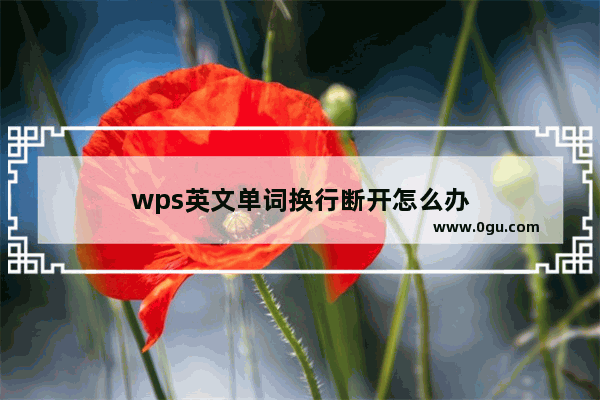 wps英文单词换行断开怎么办