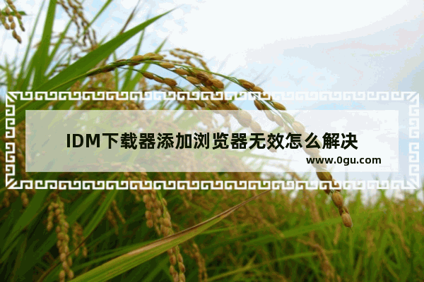 IDM下载器添加浏览器无效怎么解决