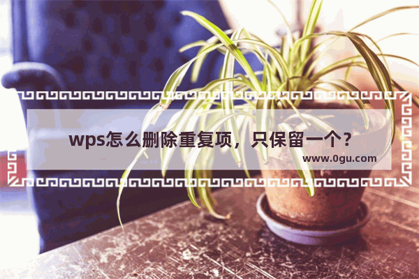 wps怎么删除重复项，只保留一个？