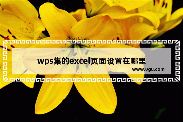 wps集的excel页面设置在哪里