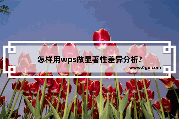 怎样用wps做显著性差异分析?