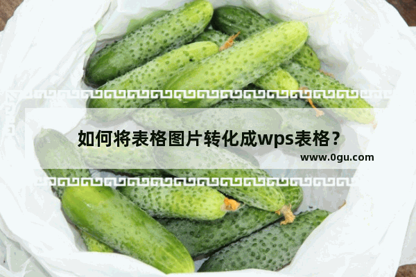 如何将表格图片转化成wps表格？