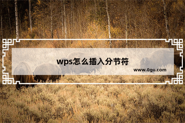 wps怎么插入分节符