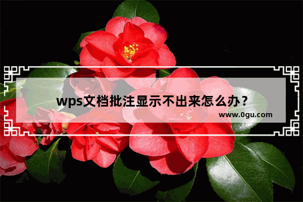 wps文档批注显示不出来怎么办？