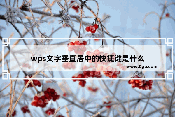 wps文字垂直居中的快捷键是什么