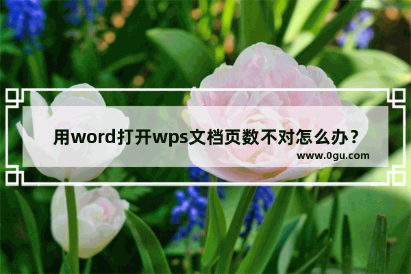 用word打开wps文档页数不对怎么办？