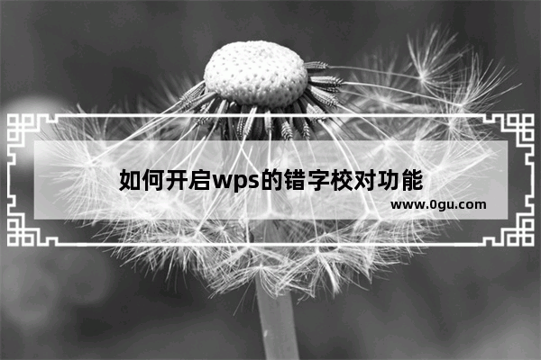 如何开启wps的错字校对功能