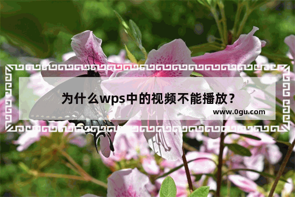 为什么wps中的视频不能播放？