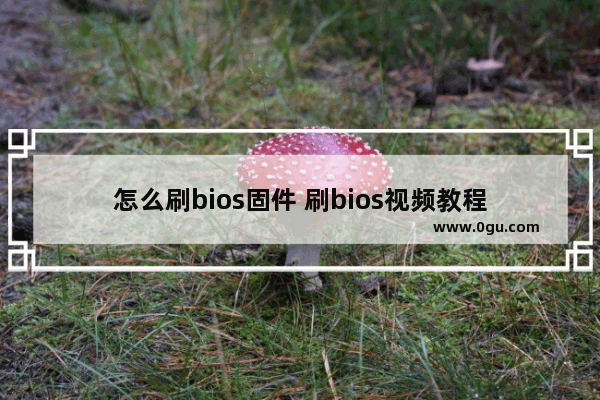 怎么刷bios固件 刷bios视频教程