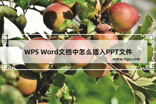 WPS Word文档中怎么插入PPT文件 WPS Word文档中插入PPT幻灯片的方法