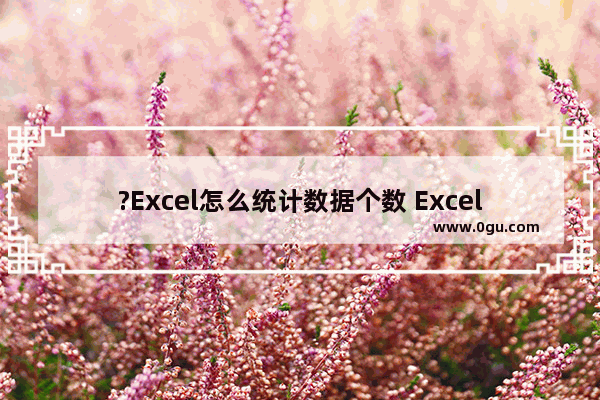 ?Excel怎么统计数据个数 Excel中统计数据个数的方法教程