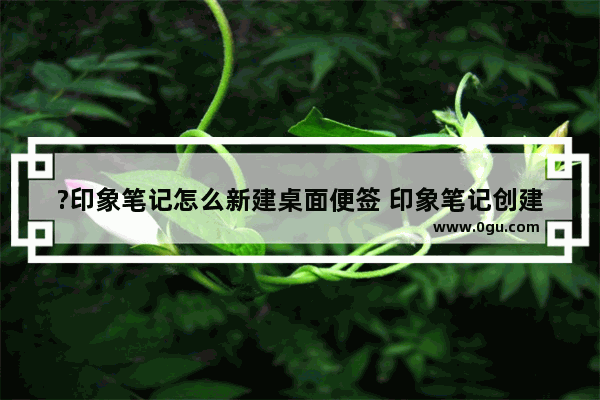 ?印象笔记怎么新建桌面便签 印象笔记创建桌面便签的方法教程