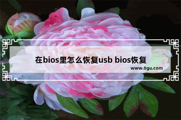 在bios里怎么恢复usb bios恢复usb端口