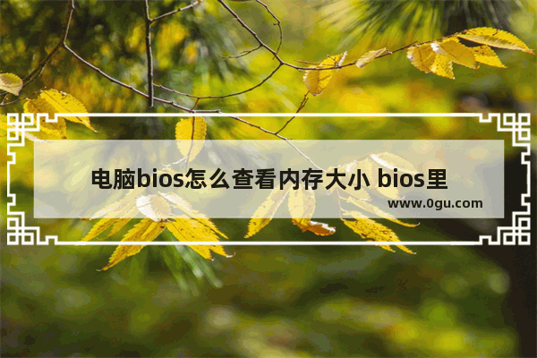 电脑bios怎么查看内存大小 bios里面怎么看内存