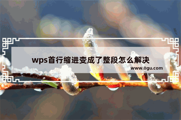 wps首行缩进变成了整段怎么解决