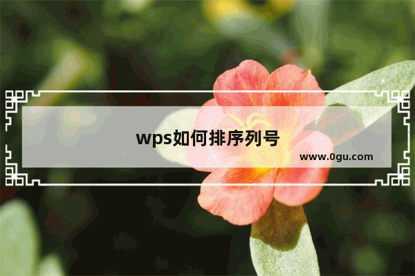 wps如何排序列号