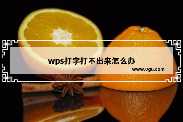 wps打字打不出来怎么办