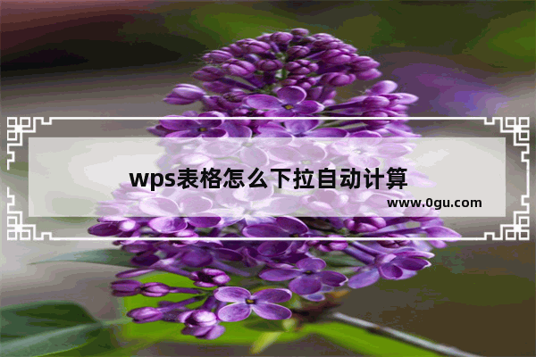 wps表格怎么下拉自动计算