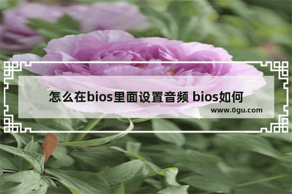 怎么在bios里面设置音频 bios如何设置音频