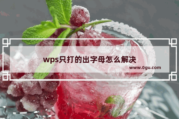 wps只打的出字母怎么解决