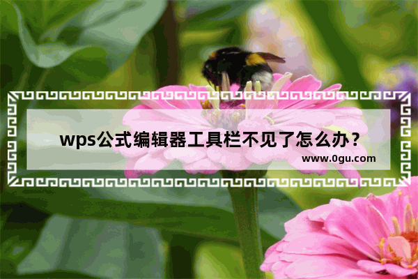 wps公式编辑器工具栏不见了怎么办？