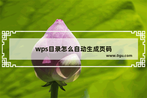 wps目录怎么自动生成页码