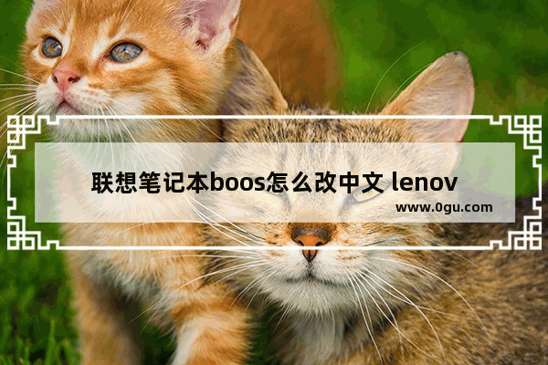 联想笔记本boos怎么改中文 lenovobios怎么设置中文