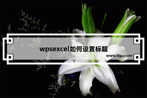 wpsexcel如何设置标题