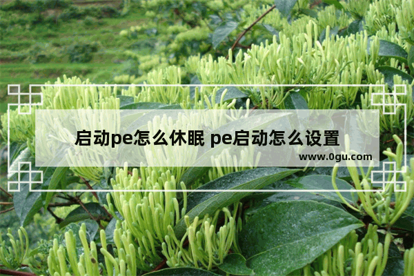 启动pe怎么休眠 pe启动怎么设置