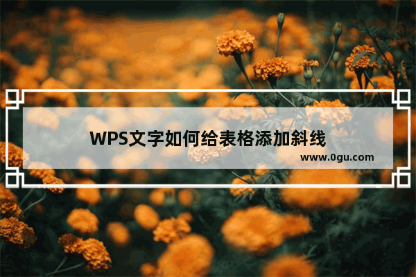 WPS文字如何给表格添加斜线