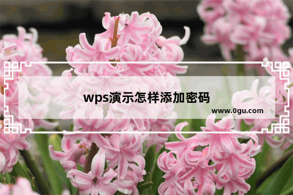 wps演示怎样添加密码