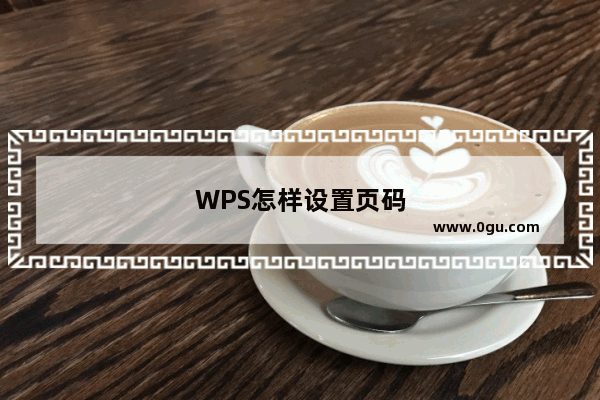 WPS怎样设置页码