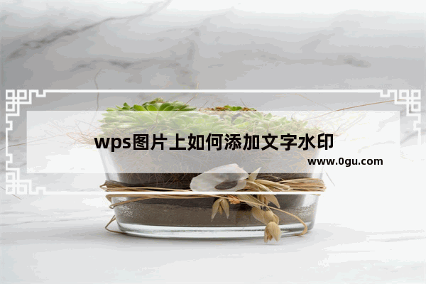 wps图片上如何添加文字水印