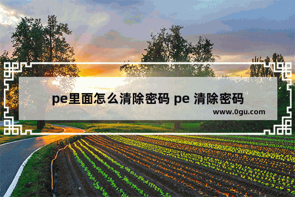 pe里面怎么清除密码 pe 清除密码