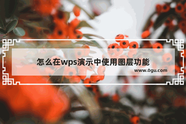 怎么在wps演示中使用图层功能