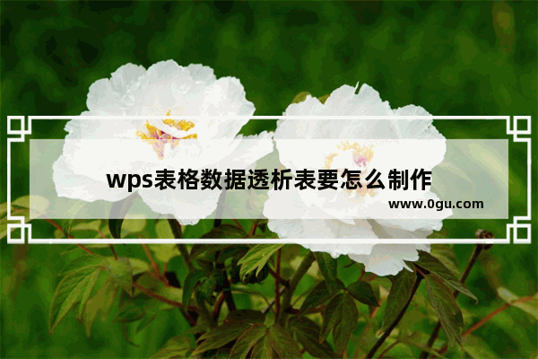 wps表格数据透析表要怎么制作