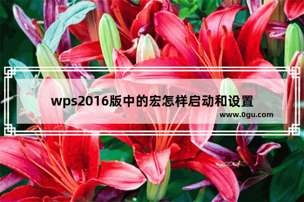 wps2016版中的宏怎样启动和设置