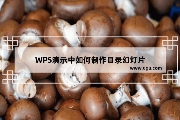 WPS演示中如何制作目录幻灯片