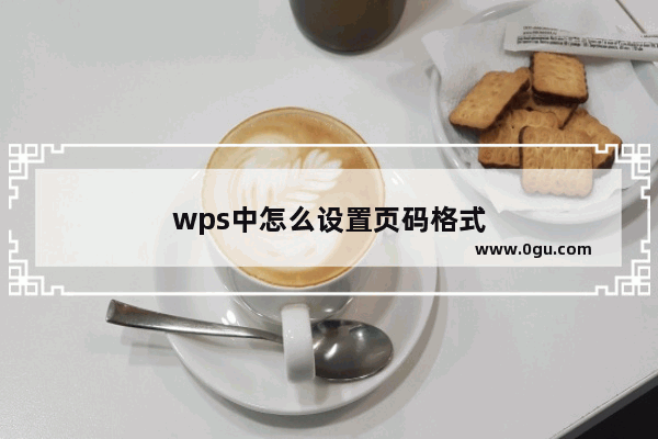 wps中怎么设置页码格式